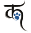 Kinoodle